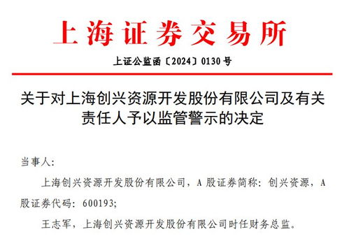 V觀財報｜創興資源財報信披不準遭監管警示，信息服務業務成焦點